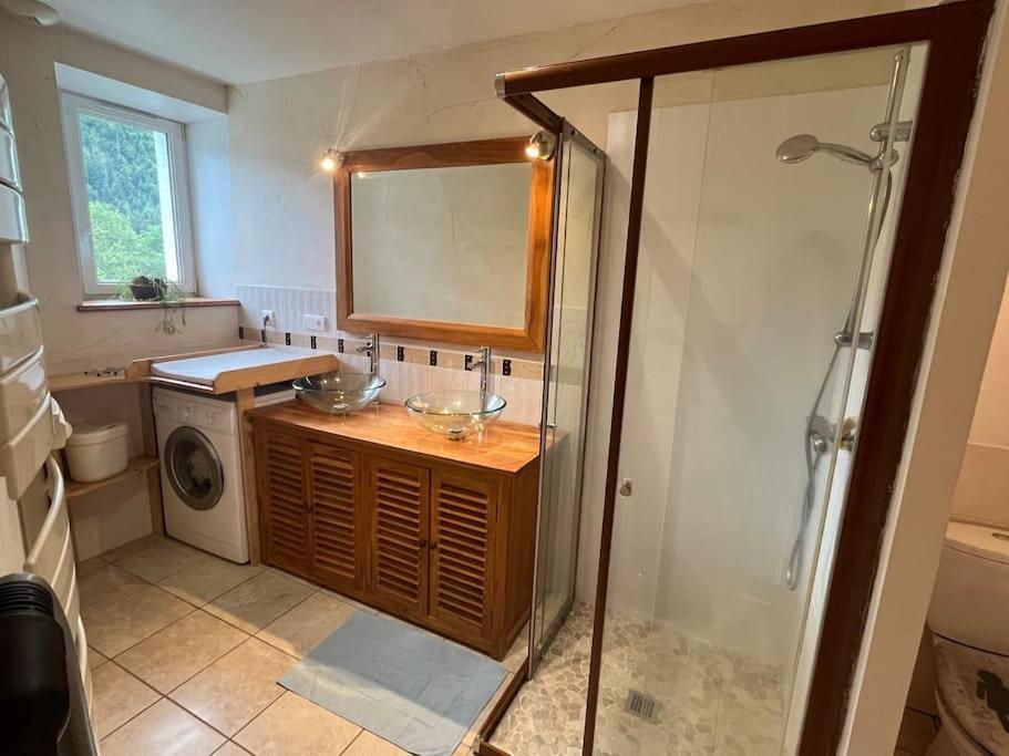 Appartement 5 Personnes Avec Espace Plein Air Saint-Maurice-sur-Moselle Exteriér fotografie