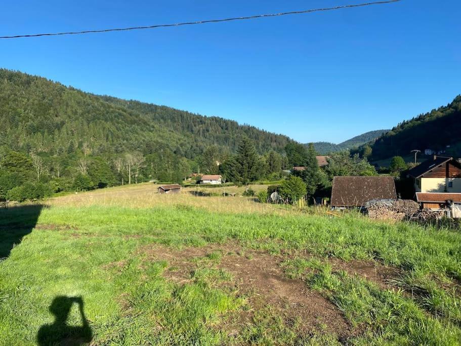 Appartement 5 Personnes Avec Espace Plein Air Saint-Maurice-sur-Moselle Exteriér fotografie