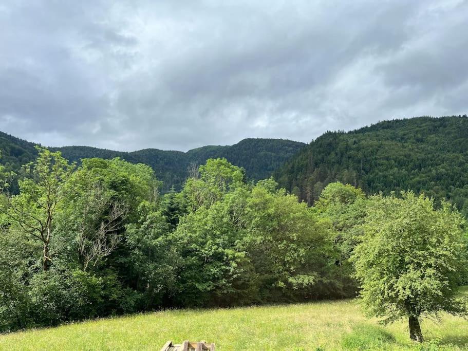 Appartement 5 Personnes Avec Espace Plein Air Saint-Maurice-sur-Moselle Exteriér fotografie