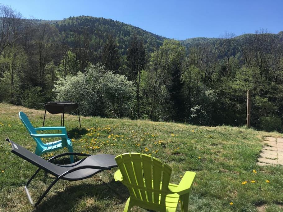 Appartement 5 Personnes Avec Espace Plein Air Saint-Maurice-sur-Moselle Exteriér fotografie